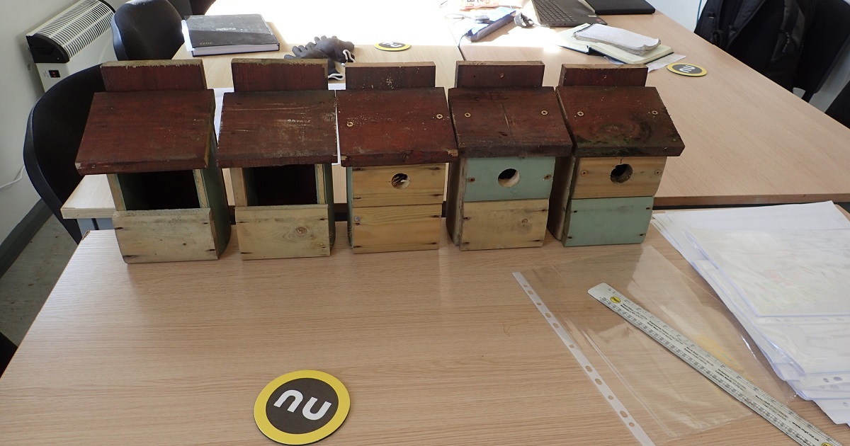 Bird Boxes for Amisfield House