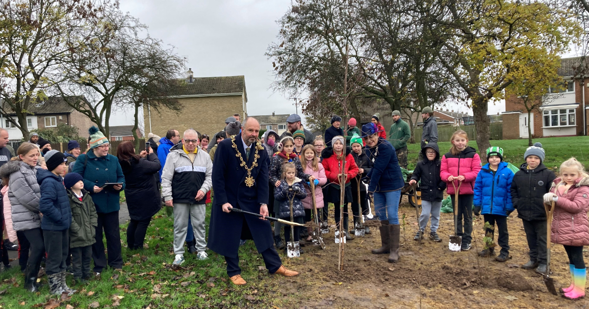 Tree Planting - Carbon Initiative